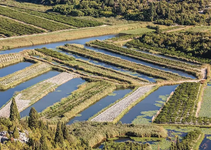 Beautiful In With Wifi *