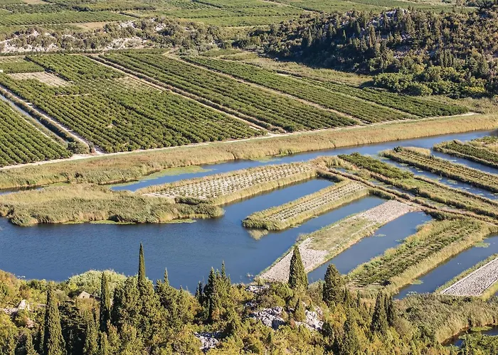 Beautiful In With Wifi Apartment *